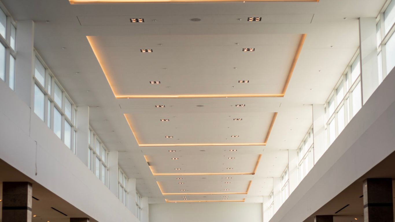 Bird Control Services