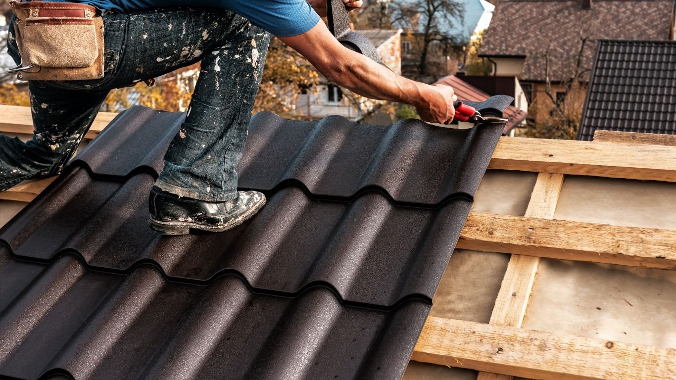 Bird Control Services